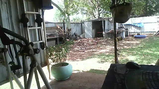 herbie010666 online show from 11-14-25, 04:05