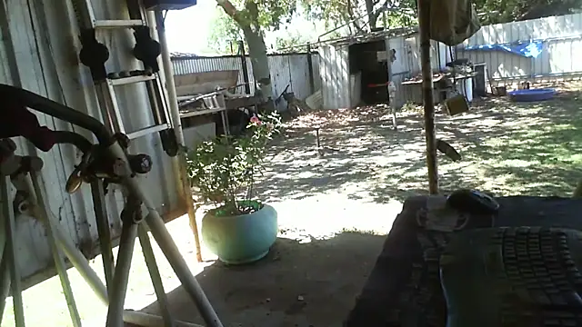 herbie010666 online show from 10-30-25, 03:49