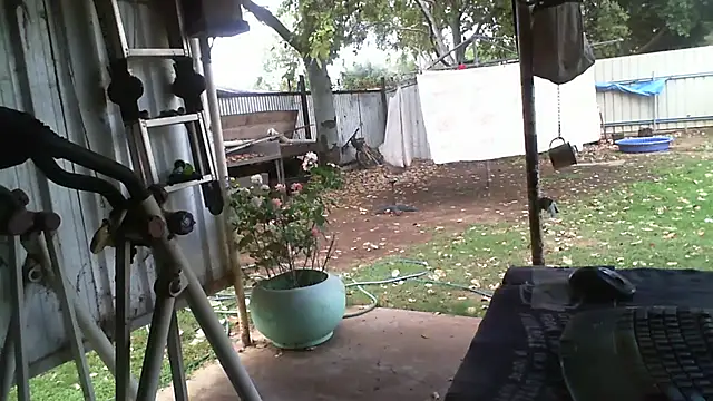 herbie010666 online show from 10-18-25, 04:14