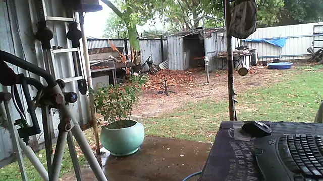 herbie010666 online show from 11-13-25, 04:05