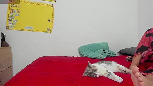 Hela wet online show from 11-24-25, 05:35