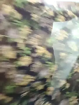 yoursana- online show from 10-29-25, 04:55