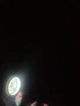 GHsveter online show from 02-19-26, 09:34