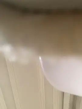 GHsveter online show from 03-31-26, 10:50