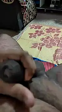 Swift2006 online show from 02-11-25, 04:11