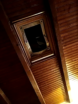 Snapshot of CurlyElisa chatting on 02-26-26, 09:37 CurlyElisa online show from 02-26-26, 09:37