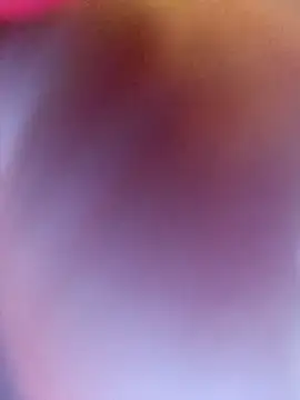 CurlyElisa online show from 01-10-26, 12:39