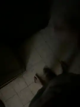 Dedoow online show from 04-06-26, 10:44