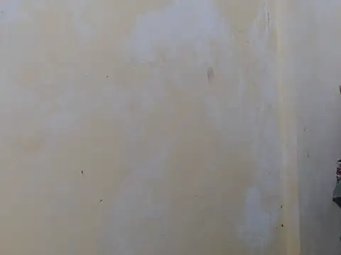 Alliayah Hollyx online show from 10-19-25, 05:05