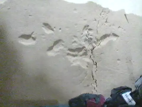 MarsWood online show from 10-16-25, 10:12