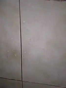 Xxxfill online show from 11-27-25, 03:40