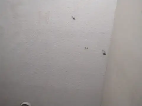 247Srokin online show from 03-13-26, 07:24