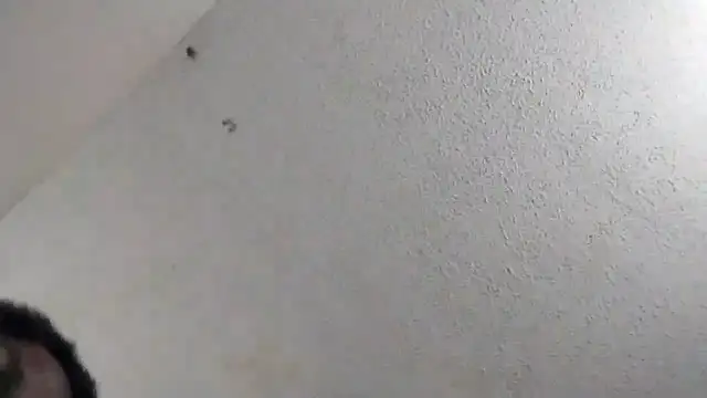 247Srokin online show from 03-06-26, 11:00