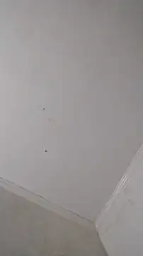 247Srokin online show from 10-25-25, 09:08