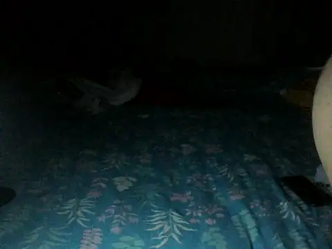 Sexyrkv91 online show from 12-13-25, 08:04