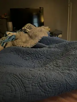 DAJ4002 online show from 01-17-26, 01:26