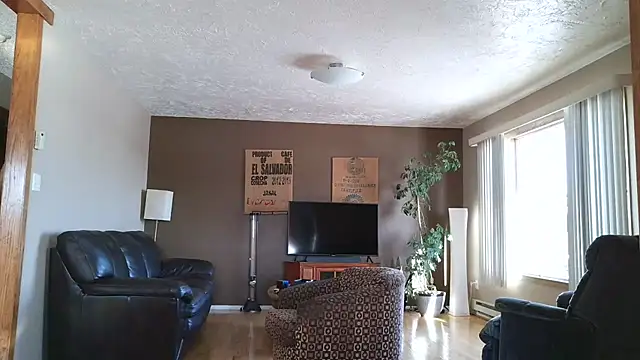 BasicAnt online show from 01-11-26, 05:20