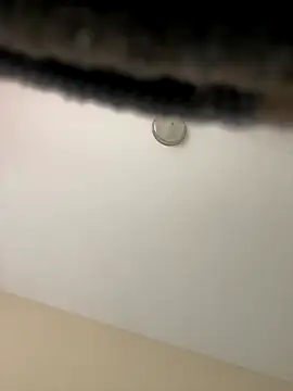 Iced cloudz online show from 12-14-25, 03:17