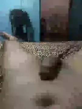 Snapshot of Emanuel45js chatting on 03-04-25, 06:50 Emanuel45js online show from 03-04-25, 06:50