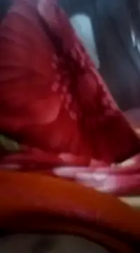 Snapshot of Emanuel45js chatting on 02-16-25, 12:21 Emanuel45js online show from 02-16-25, 12:21