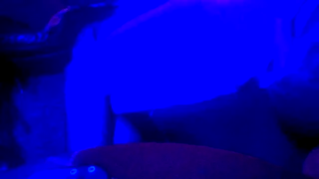 Crystalbitchx online show from 10-31-25, 04:47