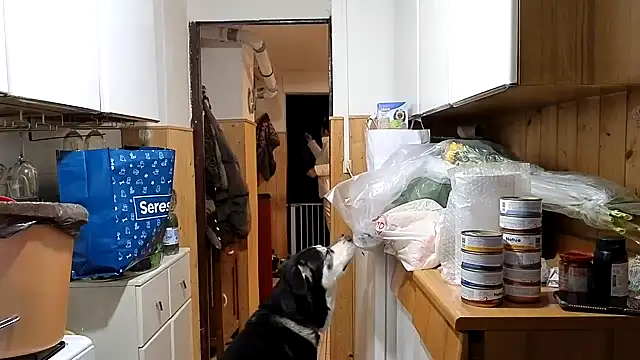 VanessaDoyle online show from 02-20-26, 06:21