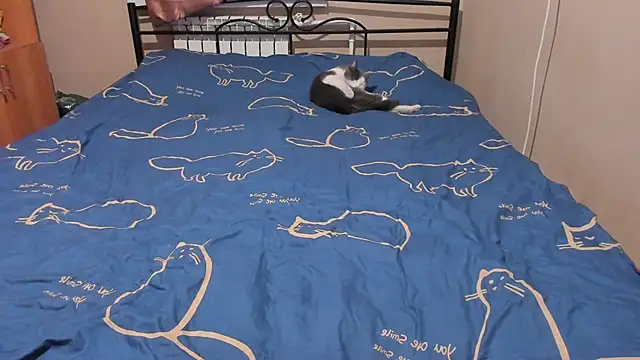 eva zero online show from 12-17-25, 03:06