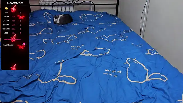 eva zero online show from 10-15-25, 02:36