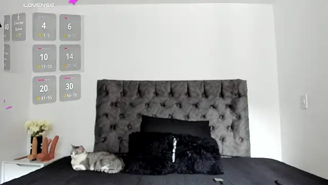 Snapshot of sweet__wild chatting on 02-10-26, 08:19 sweet wild online show from 02-10-26, 08:19