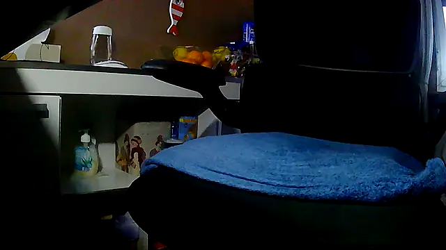 suedel65 online show from 11-30-25, 04:08