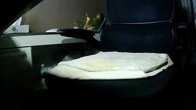 suedel65 online show from 01-10-26, 03:13