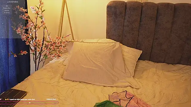 Snapshot of bunnycuteshy chatting on 10-02-25, 02:42 bunnycuteshy online show from 10-02-25, 02:42