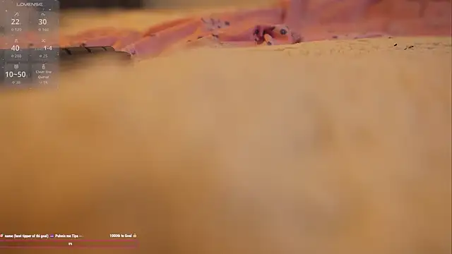 Snapshot of bunnycuteshy chatting on 10-01-25, 02:32 bunnycuteshy online show from 10-01-25, 02:32