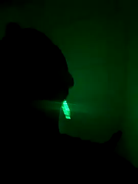 Snapshot of TigerOne19 chatting on 10-27-25, 12:11 TigerOne19 online show from 10-27-25, 12:11