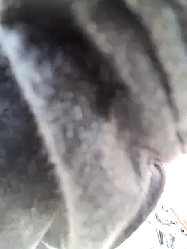 cockycummer online show from 04-23-26, 03:13