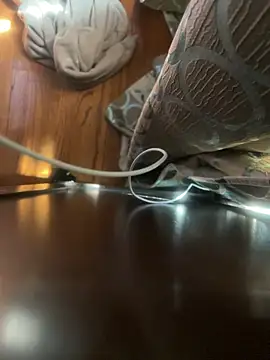 dingoding online show from 04-16-26, 03:02