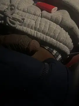 dingoding online show from 02-22-25, 01:44