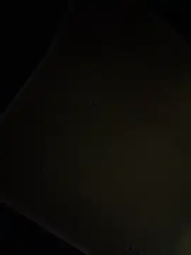 dingoding online show from 04-16-26, 09:39