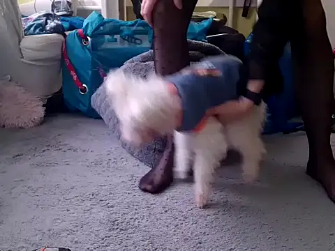 feathersify online show from 02-10-26, 08:02