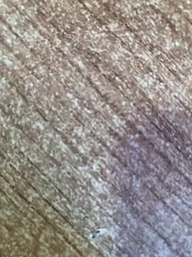 gokhanbey34 online show from 10-26-25, 08:48