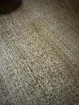 gokhanbey34 online show from 01-09-26, 12:28