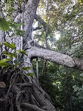 Rinku5553 online show from 11-07-25, 02:38