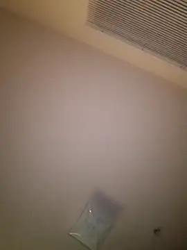 yellowwetfox online show from 03-29-26, 03:41