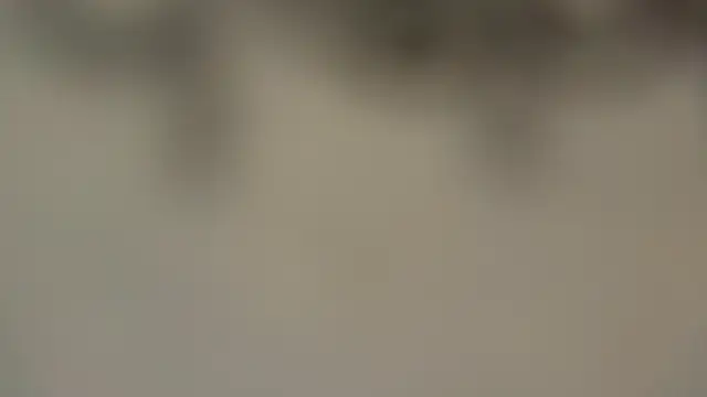 Snapshot of Eva_Rodriguez_ chatting on 04-05-26, 04:08 Eva Rodriguez online show from 04-05-26, 04:08