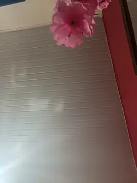 pimenta gaby online show from 04-05-26, 12:01