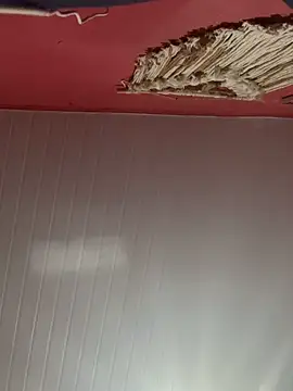 pimenta gaby online show from 10-28-25, 11:20