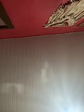 pimenta gaby online show from 03-08-26, 02:42