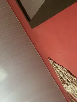 pimenta gaby online show from 11-04-25, 11:03