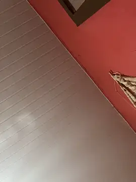 pimenta gaby online show from 12-03-25, 11:20