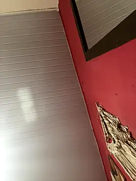 pimenta gaby online show from 11-15-25, 02:21